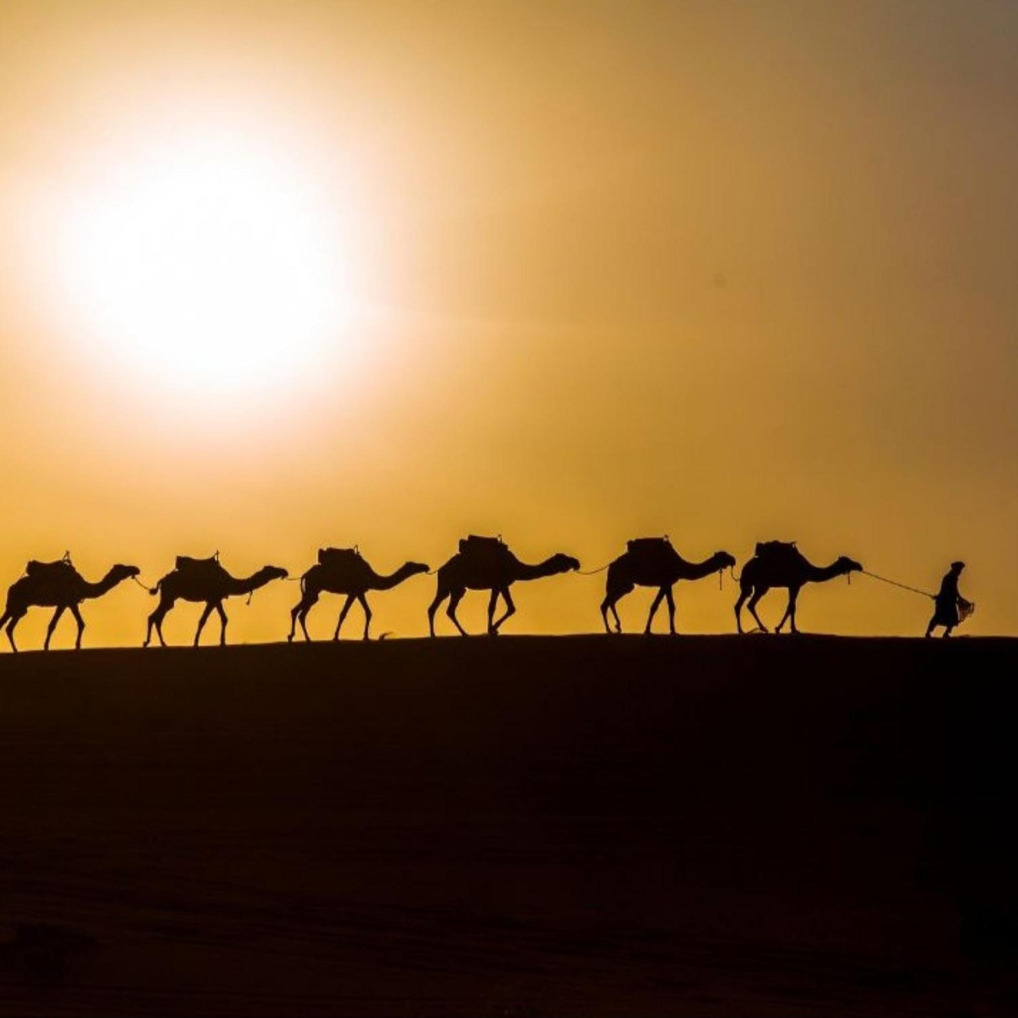 Luxury tent Erg Chebbi Romantic Desert Camp