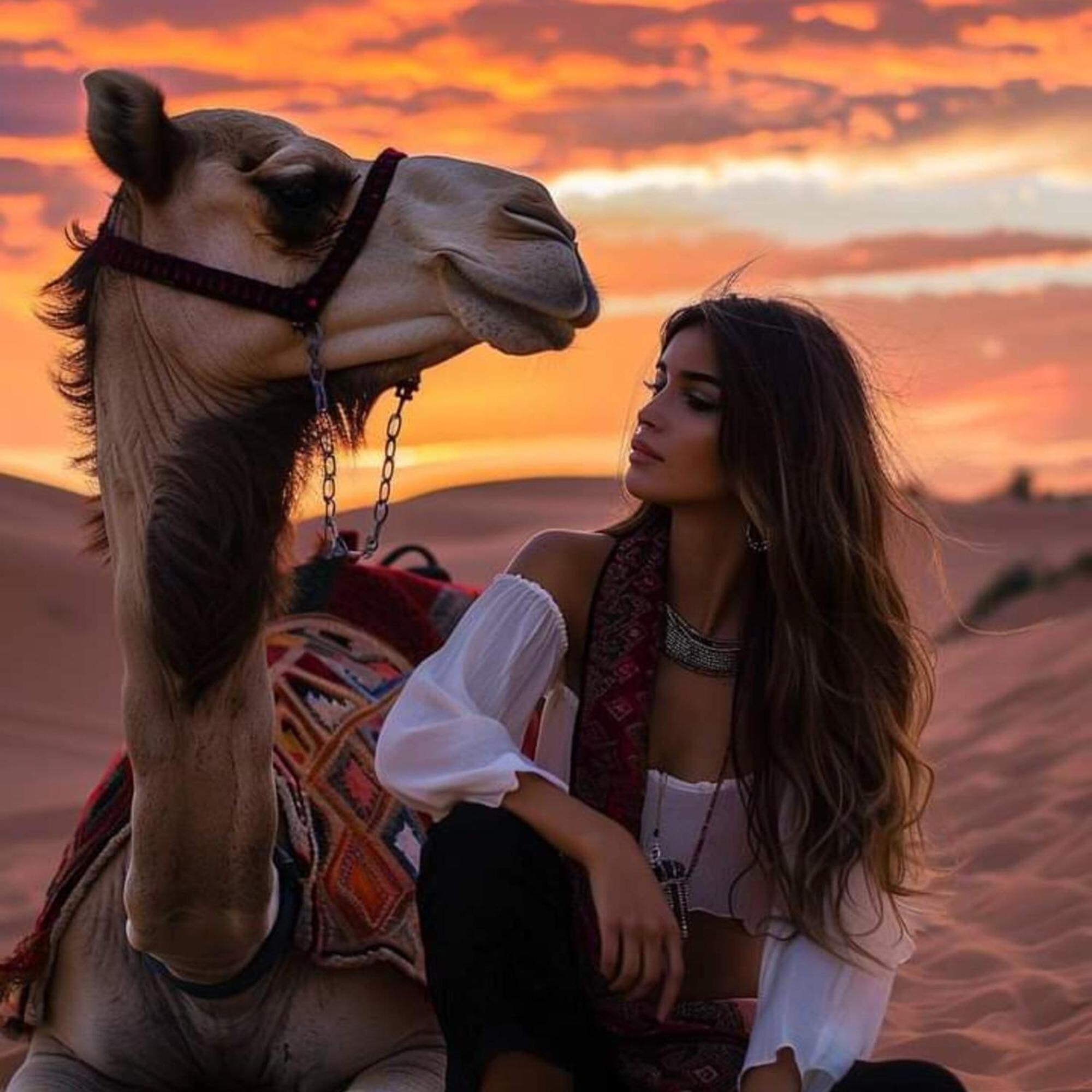 Luxuszelt Erg Chebbi Romantic Desert Camp 5*